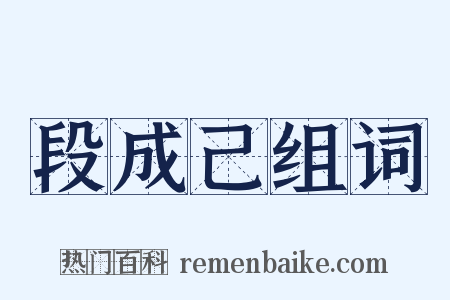 段成己组词是什么意思的图片